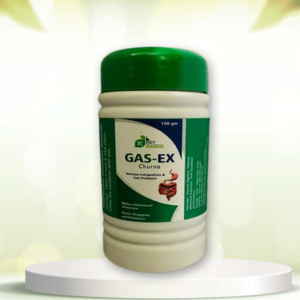 GAS-EX Churna – 100 gm